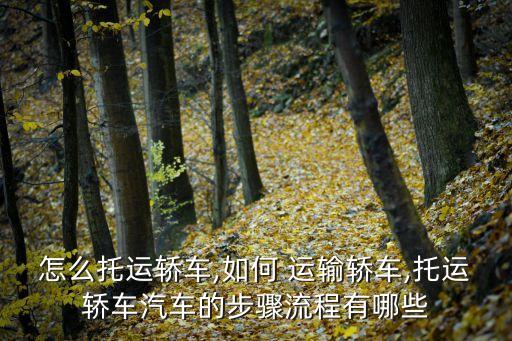 怎么托運(yùn)轎車(chē),如何 運(yùn)輸轎車(chē),托運(yùn)轎車(chē)汽車(chē)的步驟流程有哪些