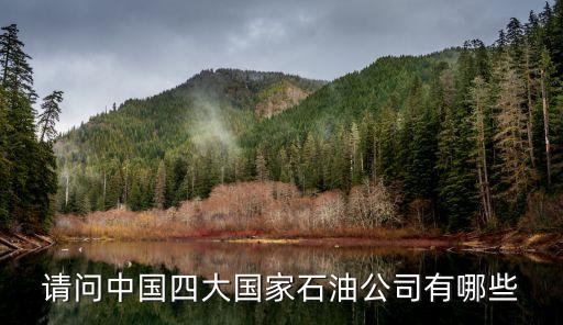 中化集團(tuán)與中海油比較,中海油和中化集團(tuán)哪個(gè)級(jí)別高?