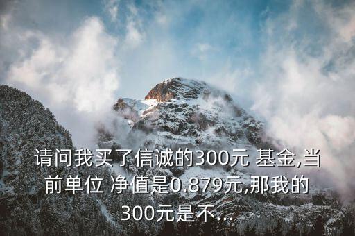 數(shù)米基金凈值查詢(xún),數(shù)米網(wǎng)每日基金凈值估算網(wǎng)