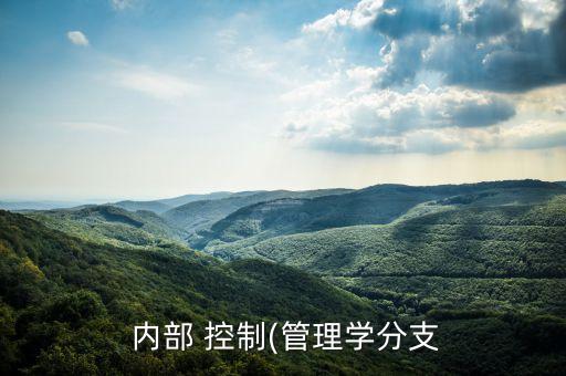  內部 控制(管理學分支
