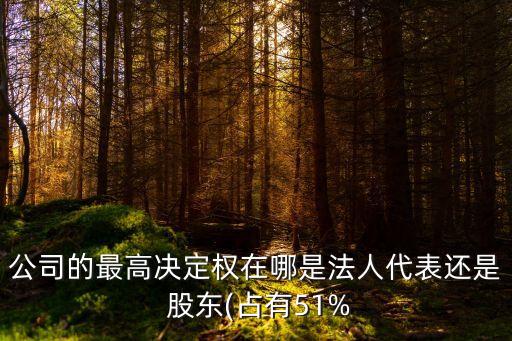 公司的最高決定權在哪是法人代表還是 股東(占有51%