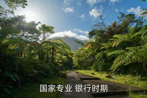 國家專業(yè) 銀行時(shí)期