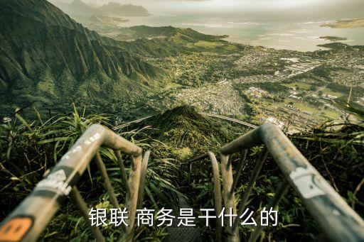  銀聯(lián) 商務是干什么的