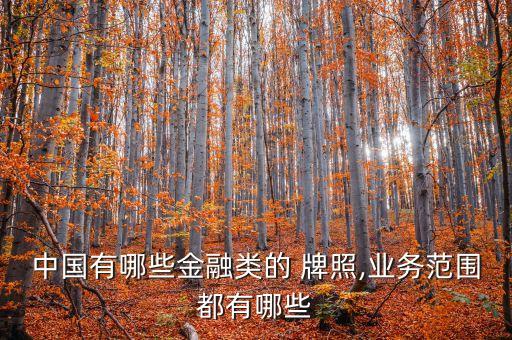 中國(guó)有哪些金融類的 牌照,業(yè)務(wù)范圍都有哪些