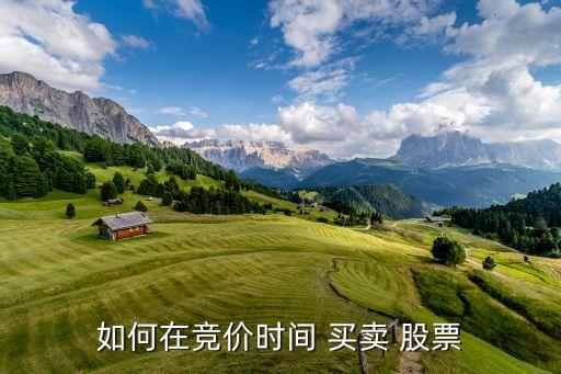 如何在競(jìng)價(jià)時(shí)間 買賣 股票