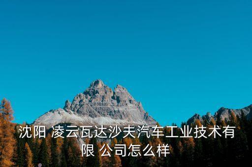  沈陽 凌云瓦達沙夫汽車工業(yè)技術有限 公司怎么樣