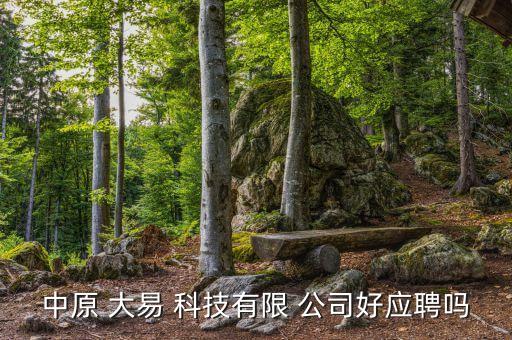 中原 大易 科技有限 公司好應聘嗎
