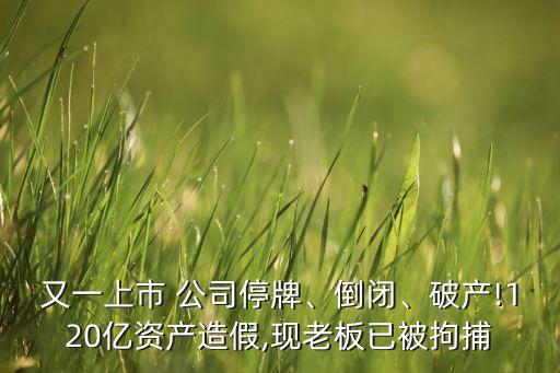 又一上市 公司停牌、倒閉、破產(chǎn)!120億資產(chǎn)造假,現(xiàn)老板已被拘捕