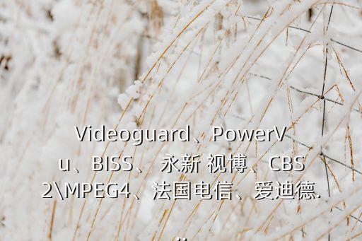 Videoguard、PowerVu、BISS、 永新 視博、CBS2\MPEG4、法國電信、愛迪德...