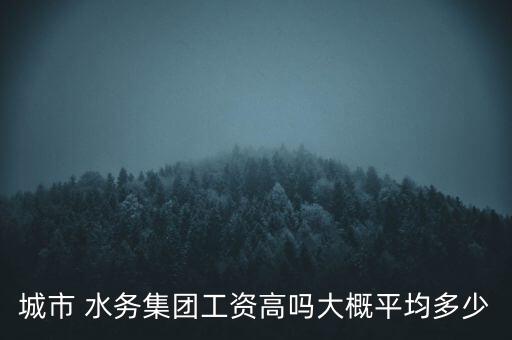 咸陽市水務集團特許經(jīng)營合同