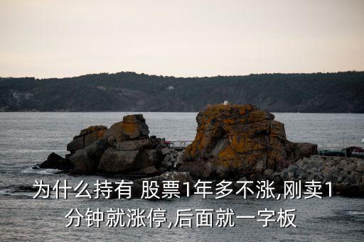 股票長時間不變,股票價格長時間停在一點(diǎn)上