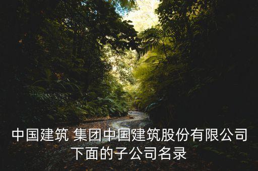 中國(guó)建筑 集團(tuán)中國(guó)建筑股份有限公司下面的子公司名錄