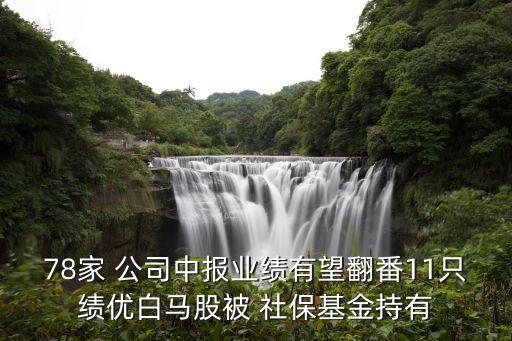 78家 公司中報(bào)業(yè)績(jī)有望翻番11只績(jī)優(yōu)白馬股被 社保基金持有