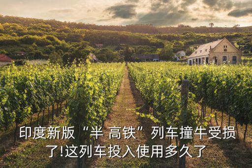  印度新版“半 高鐵”列車(chē)撞牛受損了!這列車(chē)投入使用多久了