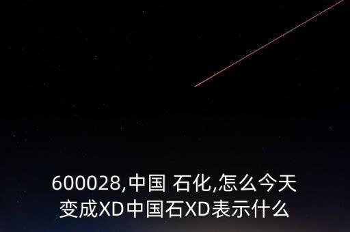 600028,中國 石化,怎么今天變成XD中國石XD表示什么