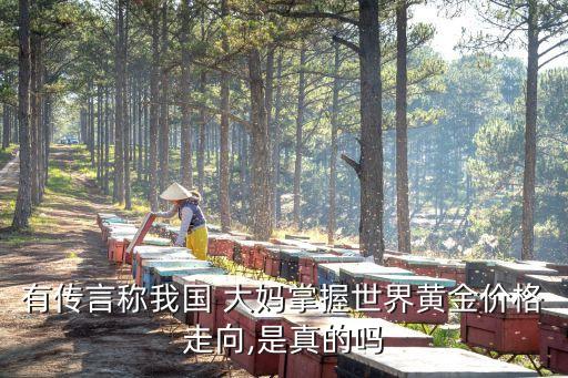 中國大媽網我要投票