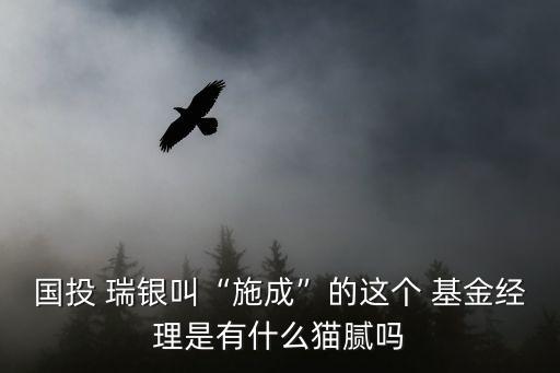 國投 瑞銀叫“施成”的這個(gè) 基金經(jīng)理是有什么貓膩嗎