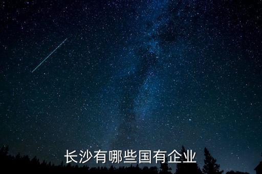湖南中科機械設備有限公司,中科豆制品機械設備制造有限公司