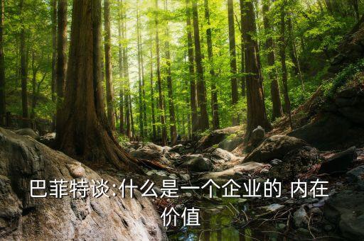 上市公司內(nèi)在價值