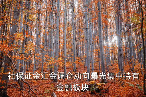 2014年二季度社?；鹬貍}股票