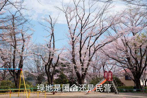  綠地是國企還是民營