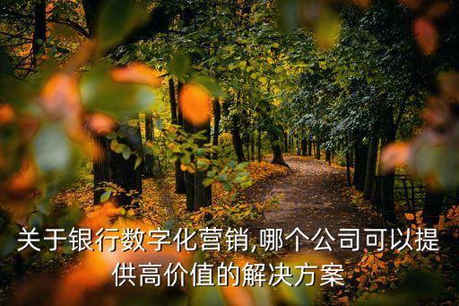 關(guān)于銀行數(shù)字化營(yíng)銷(xiāo),哪個(gè)公司可以提供高價(jià)值的解決方案