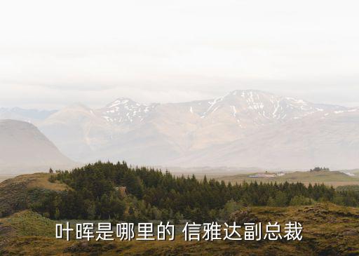 寧波信雅達(dá)軟件有限公司,信雅達(dá)計算機服務(wù)有限公司怎么樣