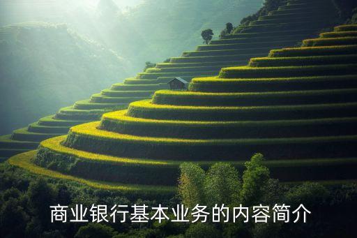 關(guān)于商業(yè)銀行的有關(guān)參考書(shū)