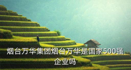 煙臺萬華集團(tuán)煙臺萬華是國家500強(qiáng)企業(yè)嗎