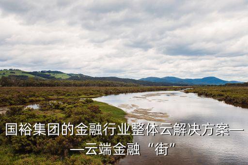 國(guó)裕集團(tuán)的金融行業(yè)整體云解決方案——云端金融“街”