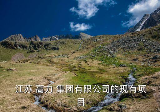  江蘇 高力 集團(tuán)有限公司的現(xiàn)有項目