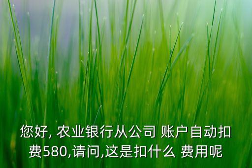 您好, 農(nóng)業(yè)銀行從公司 賬戶自動扣費(fèi)580,請問,這是扣什么 費(fèi)用呢