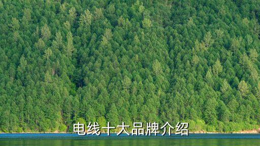 上海南洋電纜集團(tuán)總經(jīng)理,新加坡南洋國(guó)際集團(tuán)總經(jīng)理
