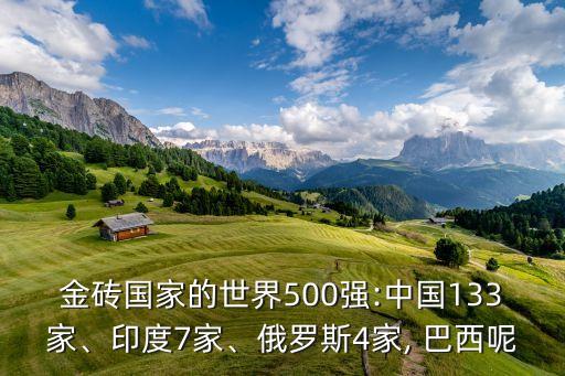 金磚國家的世界500強(qiáng):中國133家、印度7家、俄羅斯4家, 巴西呢