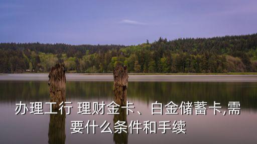 辦理工行 理財(cái)金卡、白金儲(chǔ)蓄卡,需要什么條件和手續(xù)