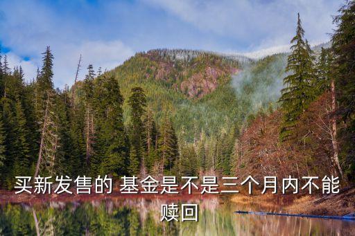 買(mǎi)新發(fā)售的 基金是不是三個(gè)月內(nèi)不能 贖回