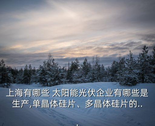 上海有哪些 太陽能光伏企業(yè)有哪些是生產(chǎn),單晶體硅片、多晶體硅片的...
