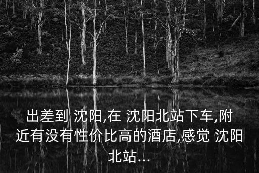 出差到 沈陽(yáng),在 沈陽(yáng)北站下車,附近有沒(méi)有性價(jià)比高的酒店,感覺(jué) 沈陽(yáng)北站...