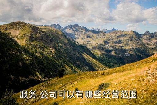 房地產(chǎn)公司運(yùn)營簡報