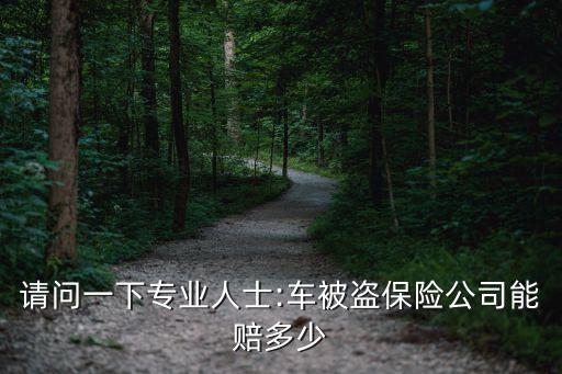 請(qǐng)問(wèn)一下專(zhuān)業(yè)人士:車(chē)被盜保險(xiǎn)公司能賠多少