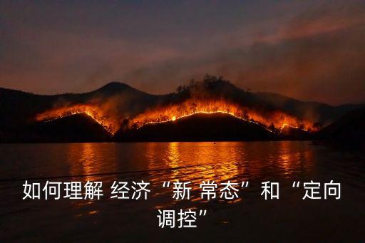 如何理解 經(jīng)濟“新 常態(tài)”和“定向調(diào)控”