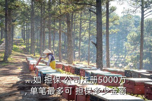 ...如 擔(dān)保 公司注冊(cè)5000萬, 單筆最多可 擔(dān)保多少金額
