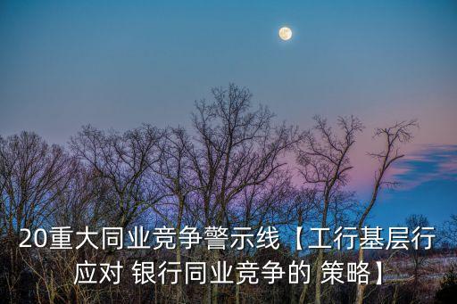 20重大同業(yè)競爭警示線【工行基層行應對 銀行同業(yè)競爭的 策略】