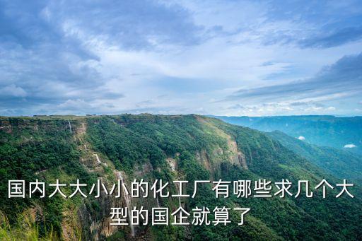 國內(nèi)大大小小的化工廠有哪些求幾個(gè)大型的國企就算了