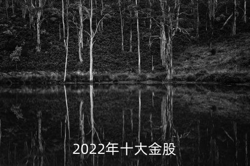 新華醫(yī)療股票千股千評