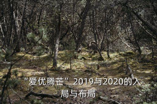 “愛(ài)優(yōu)騰芒”2019與2020的入局與布局