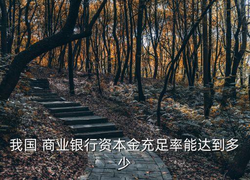 中國商業(yè)銀行新監(jiān)管指標分析,商業(yè)銀行風險監(jiān)管核心指標(試行) 文號