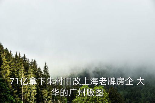 上海大華集團(tuán)有限公司股權(quán)結(jié)構(gòu),中國水環(huán)境集團(tuán)有限公司股權(quán)結(jié)構(gòu)