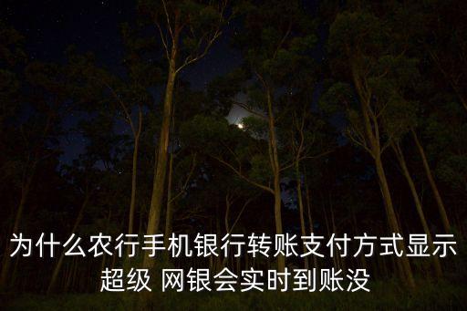 為什么農(nóng)行手機(jī)銀行轉(zhuǎn)賬支付方式顯示 超級 網(wǎng)銀會(huì)實(shí)時(shí)到賬沒