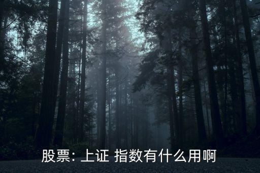 結(jié)合上證指數(shù)談?wù)剬ν顿Y的看法